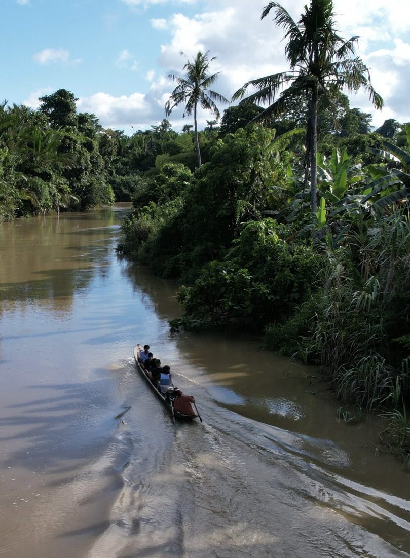 cesta za kmenňom Mentawai Sumatra