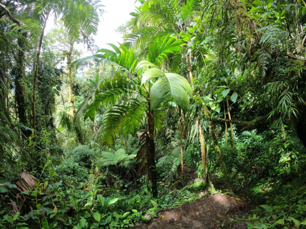 Kostarika poznávací trip