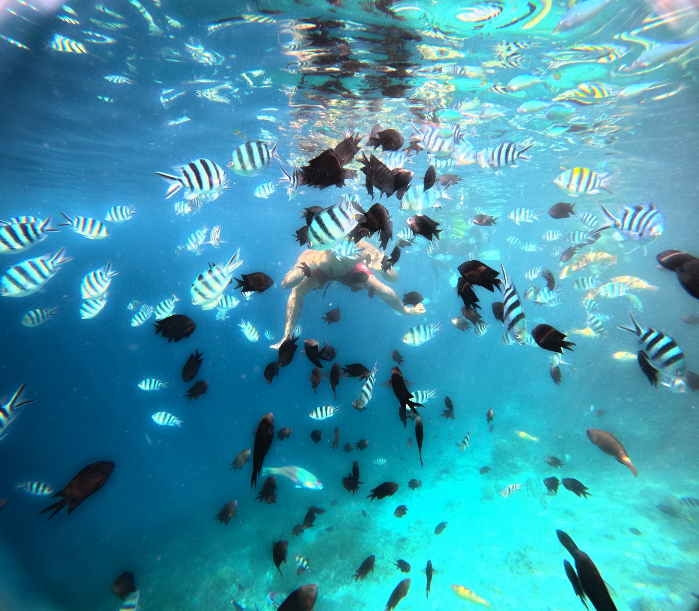 Bali Komodo plavba zájazd šnorchlovanie