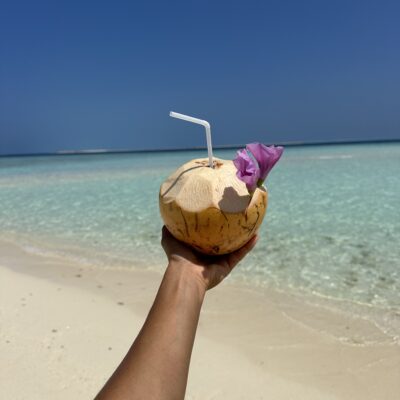 Maldivy coconut