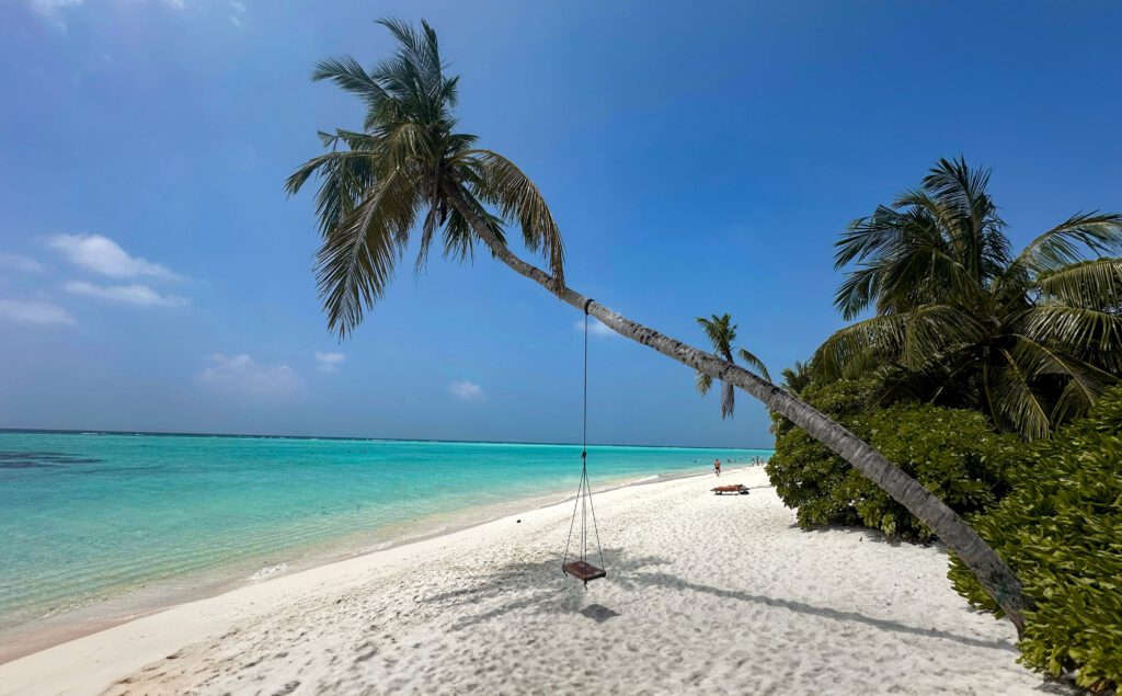 Maldivy silvester