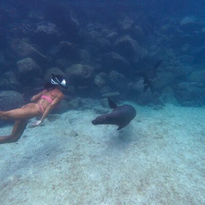 Poznávací zájazd Galapágy plávanie s uškatcami