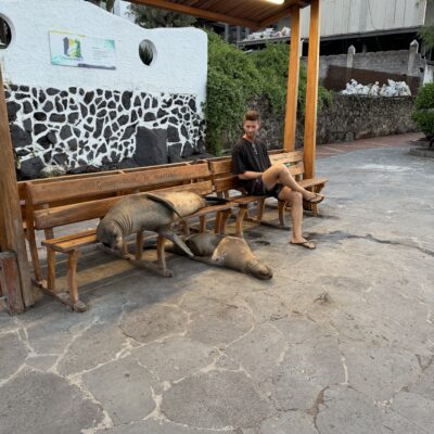 Poznávací zájazd Galapágy uškatce